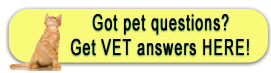 pet library banner