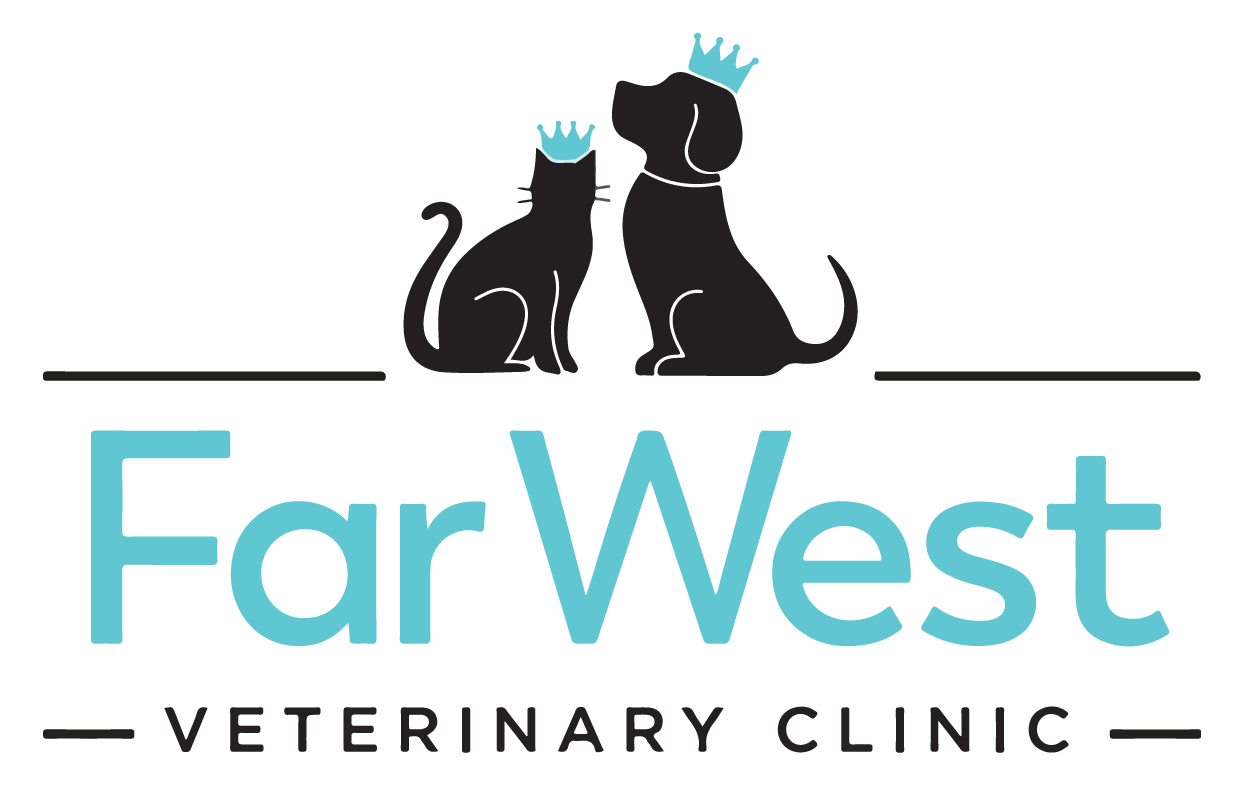 far west logo